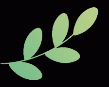 <b>A股4名“00后”总司理均系承继父业上海66套单价</b>